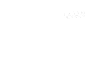 My Welsh Castle Logo